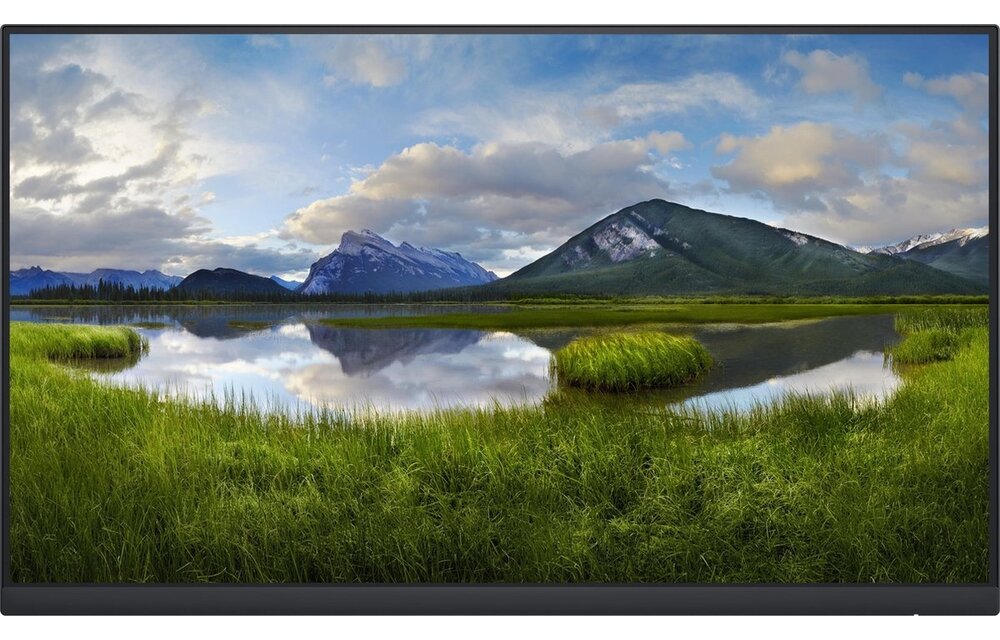 Dell P2422H (Zonder standaard) - Monitor