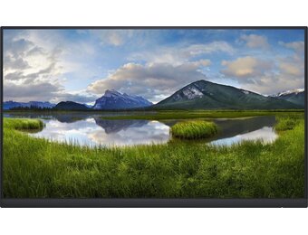 Dell P2422H (Zonder standaard) - Monitor