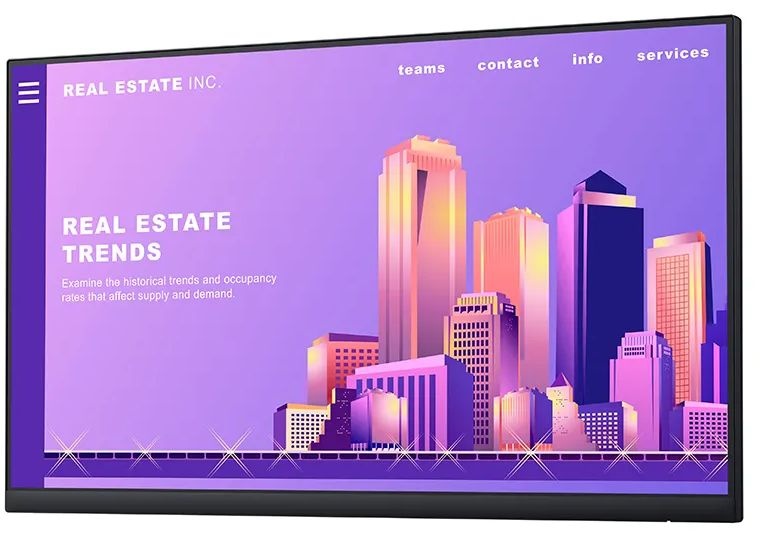 Dell P2422H (Zonder standaard) - Monitor