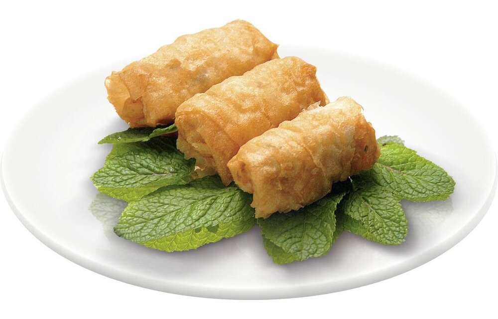 Tefal Mega XXL FR4800 - Frituurpan