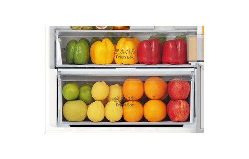 Hisense RB440N4AFC - Koel-vriescombinatie