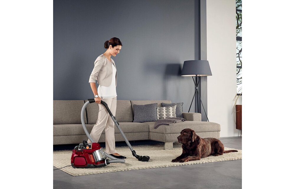 AEG LX7-2-CR-A X Power Animal Edition - Stofzuiger met zak