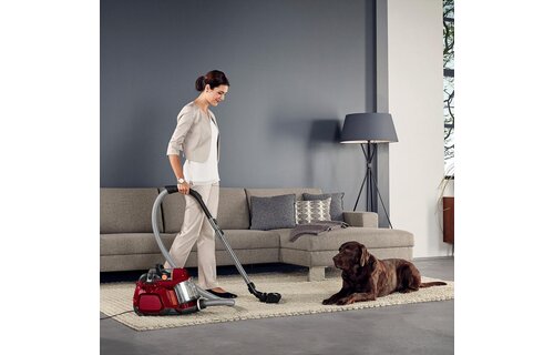 AEG LX7-2-CR-A X Power Animal Edition - Stofzuiger met zak