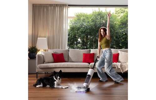 Polti RollySteam WD40C - Stoomreiniger