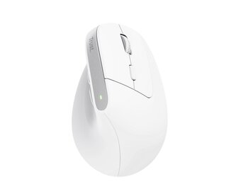 Trust Bayo+ Wit - Muis