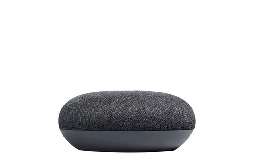 Google Nest Mini (Charcoal) - Draadloze speaker