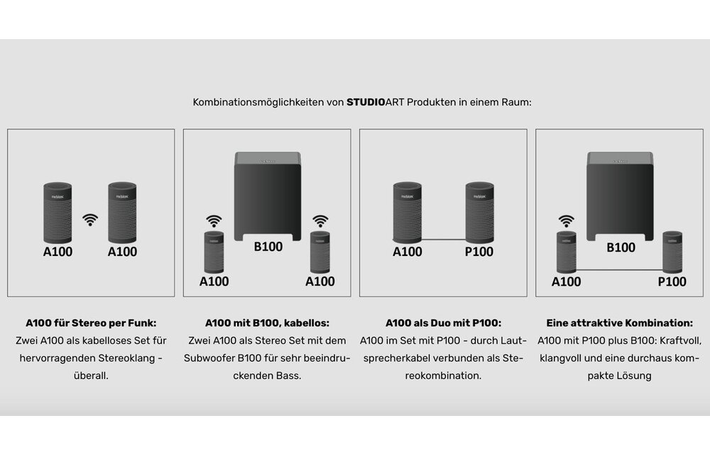 Revox STUDIOART P100 Zwart - Hifi speaker