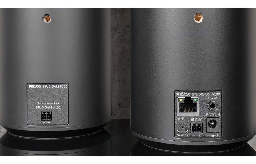 Revox STUDIOART P100 Zwart - Hifi speaker