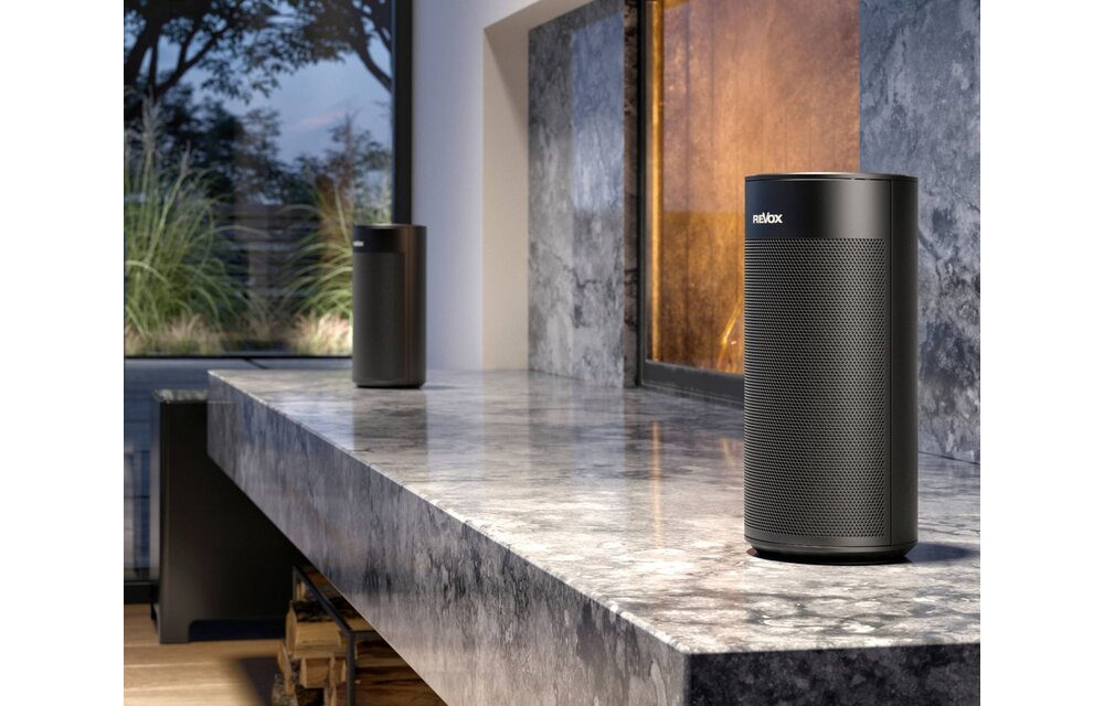 Revox STUDIOART P100 Zwart - Hifi speaker