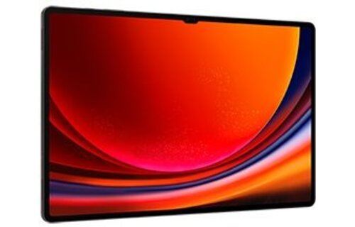Samsung Galaxy Tab S9 Ultra WiFi 256GB Graphite - Tablet