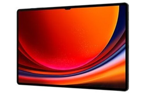 Samsung Galaxy Tab S9 Ultra WiFi 256GB Graphite - Tablet