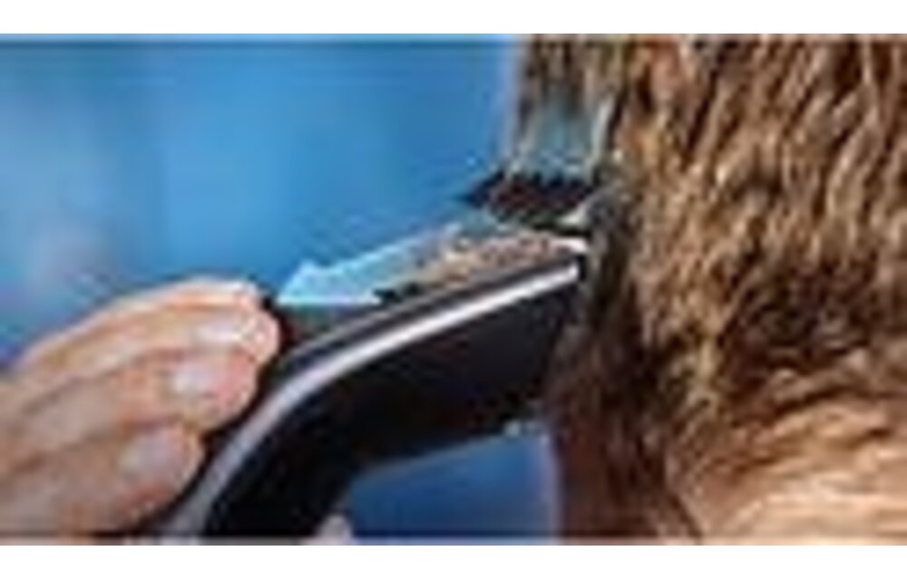 Philips series 5000 HC5650/15 - Tondeuse