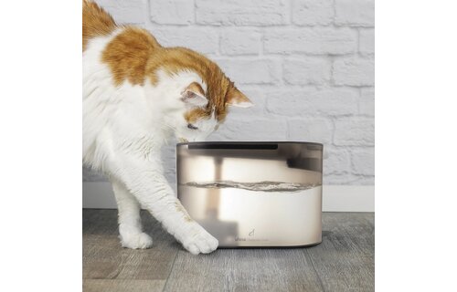 Ufesa PetBuddy Drink