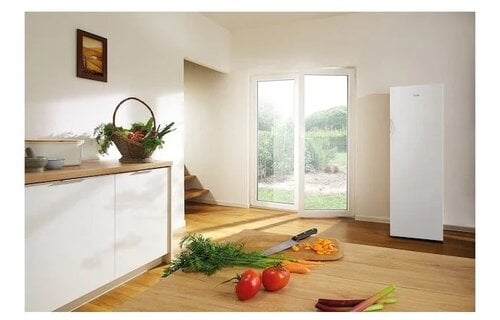 ETNA VV6169NWIT  - Vrieskast