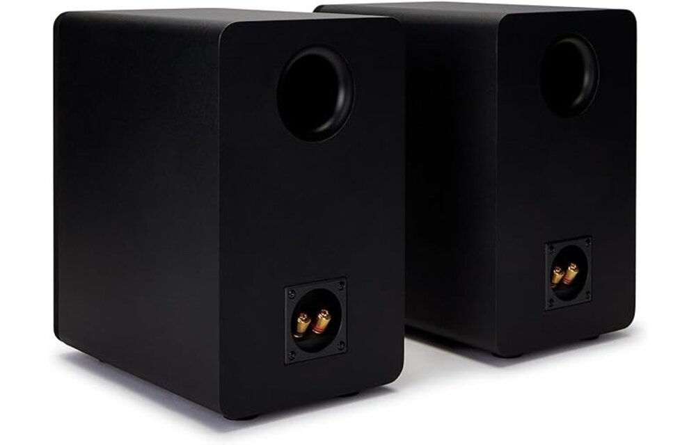 Aiwa SP-A100 - Hifi speaker