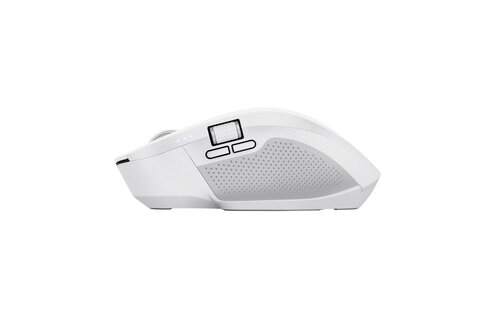 Trust 24935 Ozaa+ Multi-Connect Wit - Muis