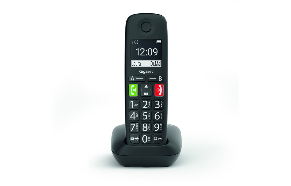 Gigaset E290R Duo - Dect telefoon