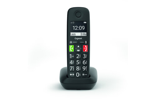 Gigaset E290R Duo - Dect telefoon