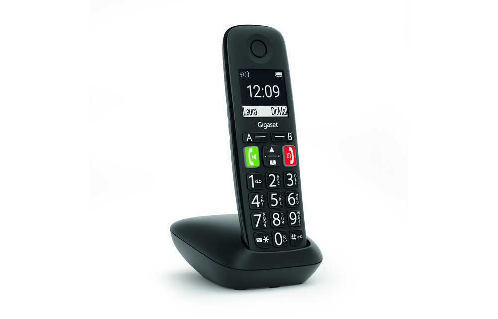 Gigaset E290R Duo - Dect telefoon