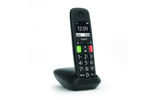 Gigaset E290R Duo - Dect telefoon