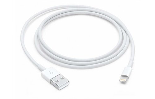 Apple Lightning to USB Cable 1 Meter