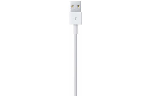 Apple Lightning to USB Cable 1 Meter