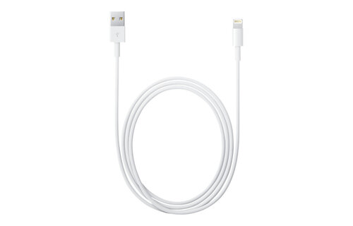 Apple Lightning to USB Cable 1 Meter