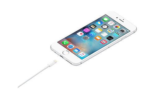 Apple Lightning to USB Cable 1 Meter