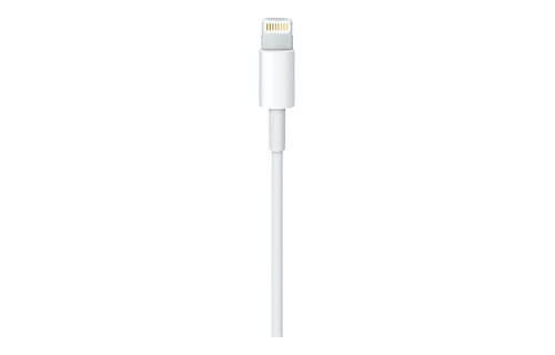 Apple Lightning to USB Cable 1 Meter