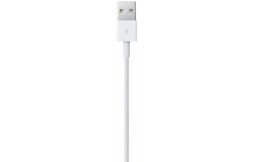 Apple Lightning to USB Cable 2 Meter
