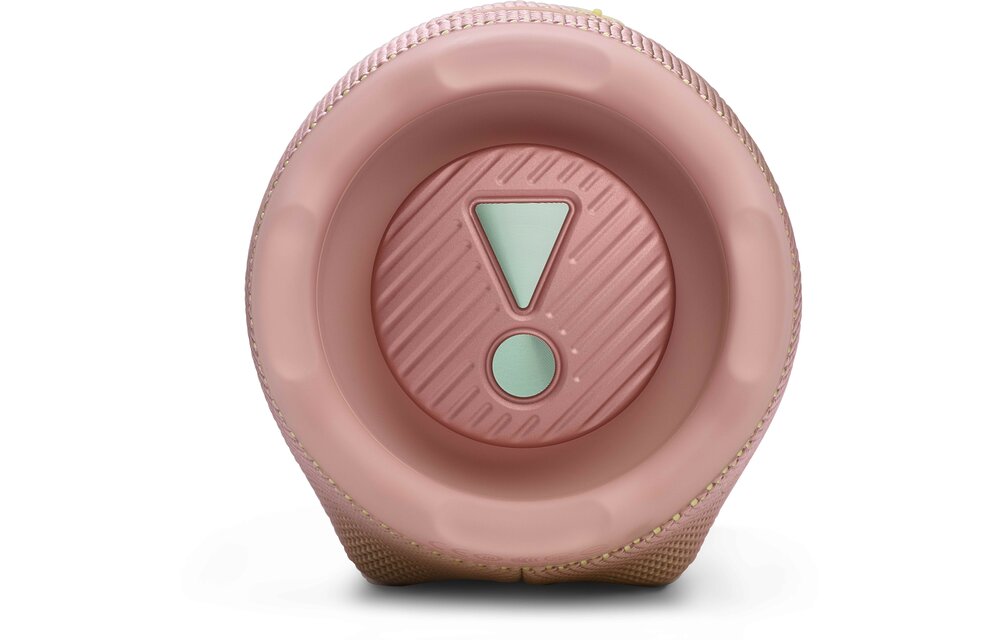 JBL Charge 6 Roze - Draadloze speaker