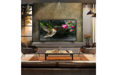 LG OLED55B42LA (2024) - OLED TV