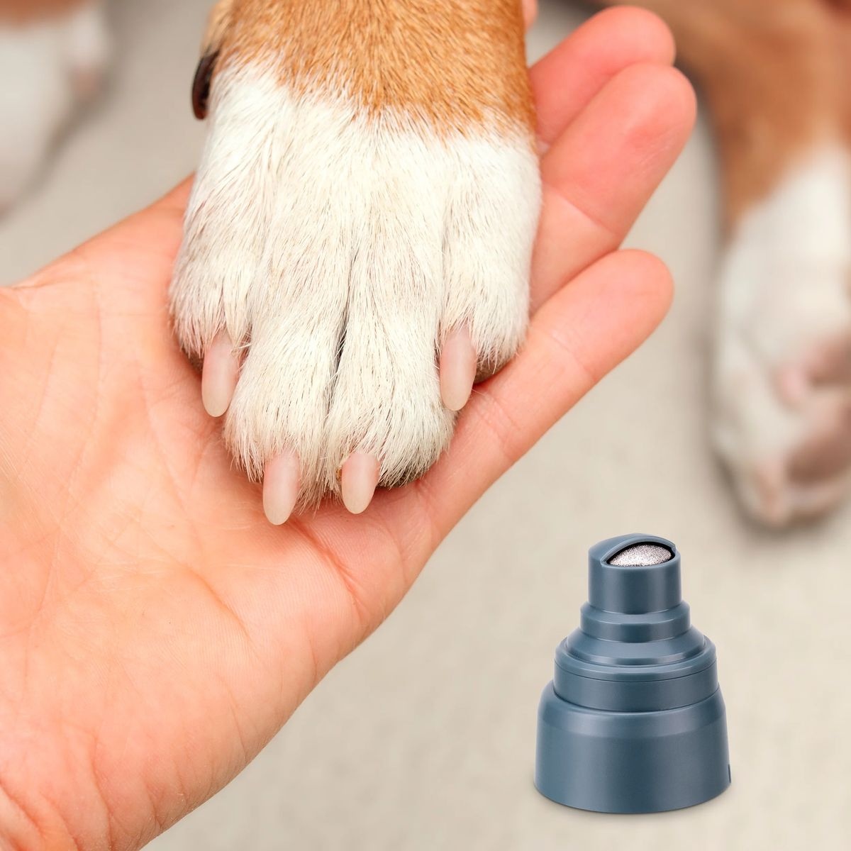 Ufesa PetBuddy Groom