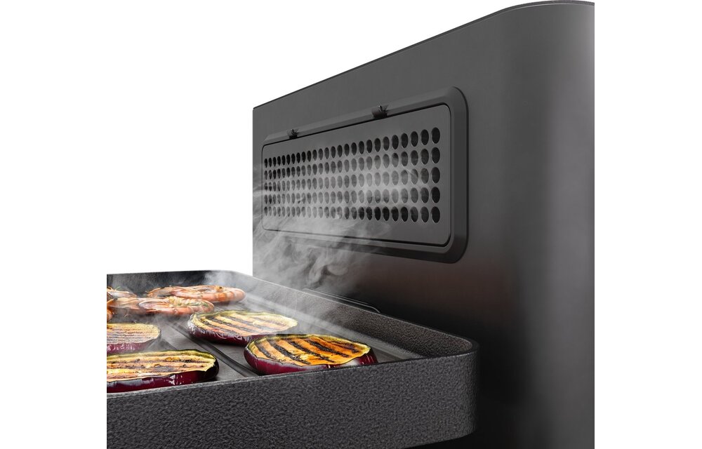 Princess 162660 Raclette Purify - Gourmetstel