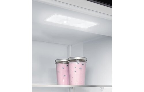 Liebherr IRd 3900-22 - Inbouw koelkast