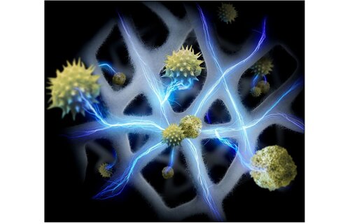 Dyson HushJet Purifier Compact - Luchtreiniger