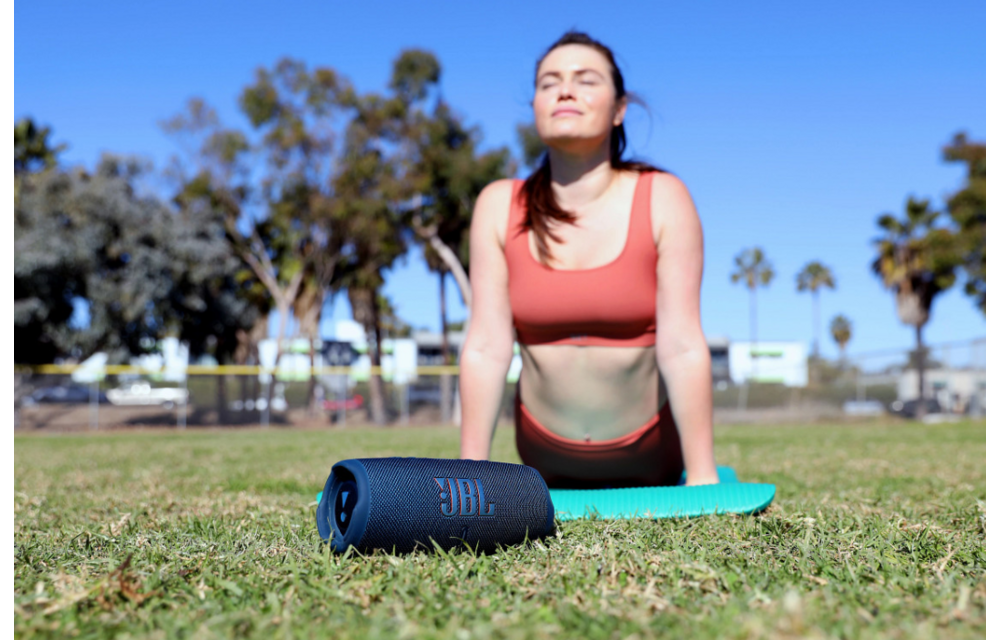 JBL Charge 5 Blauw - Draadloze speaker