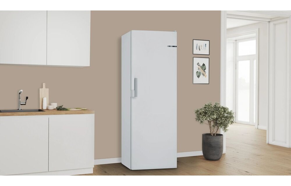 Bosch GSN29VWEP Serie 4 - Vrieskast