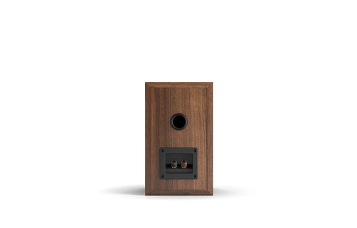 Dali SPEKTOR 2 Black Ash - Boekenplank speaker