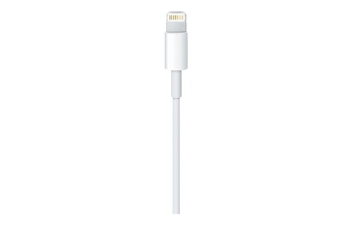 Apple Lightning to USB Cable 1 Meter