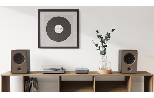 WiiM Amp Grijs - Versterker