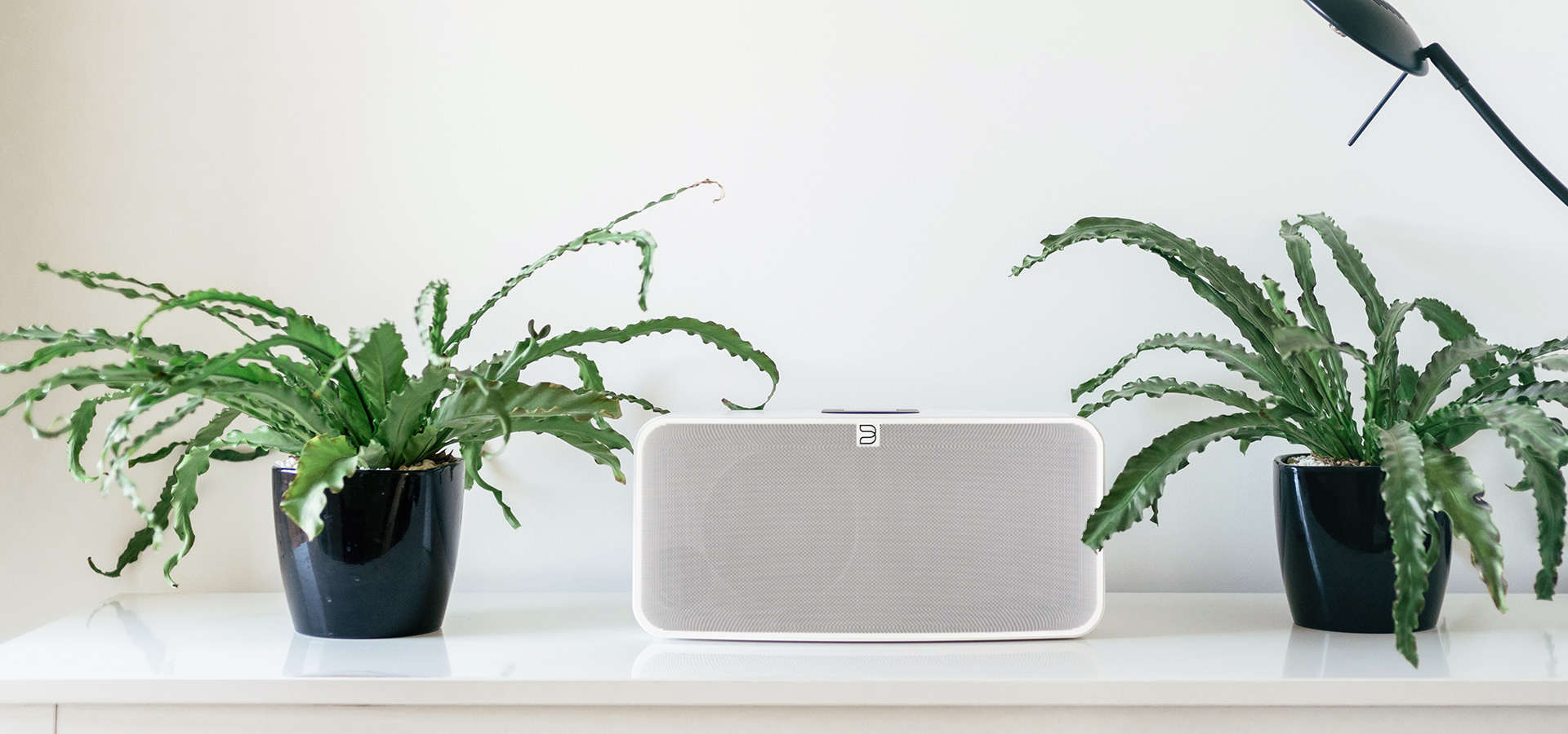 Bluesound Pulse Mini 2i Zwart - Hifi speaker
