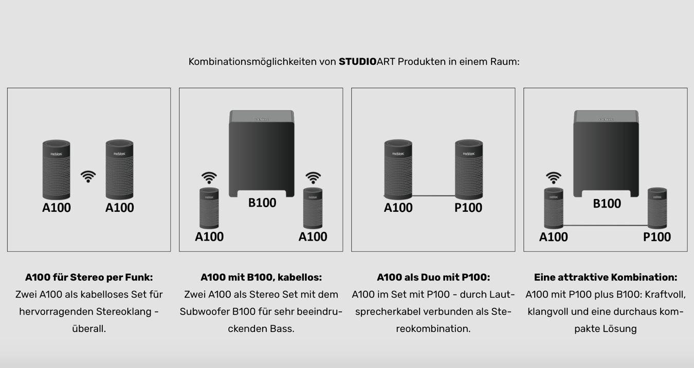 Revox STUDIOART P100 Zwart - Hifi speaker