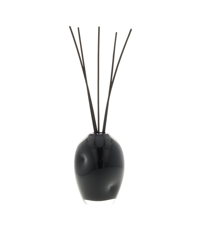 Scentchips® Flacon Bâtonnets diffuseurs en verre Luxx Noir