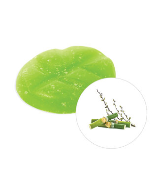 Scentchips® Bamboo & Willow wax melts XL