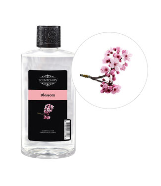Scentchips® Blossom fragrance oil ScentOil