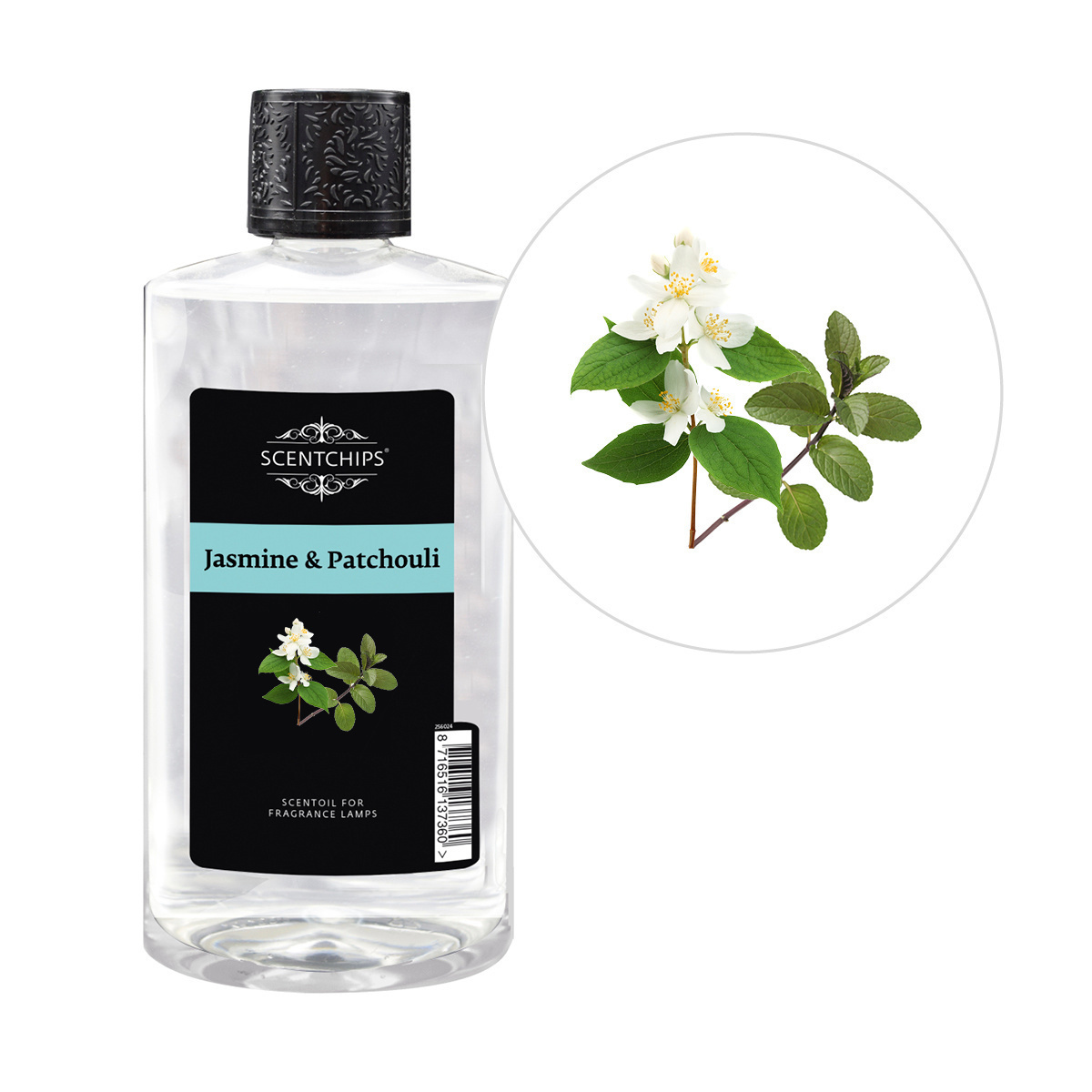 Jasmine Patchouli fragrance oil ScentOil