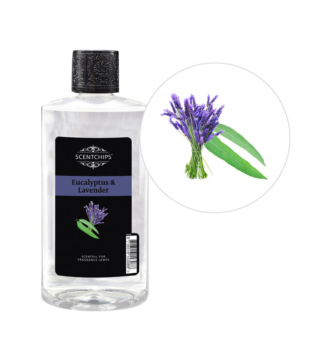 Scentchips® Eucalyptus & Lavender fragrance oil ScentOil