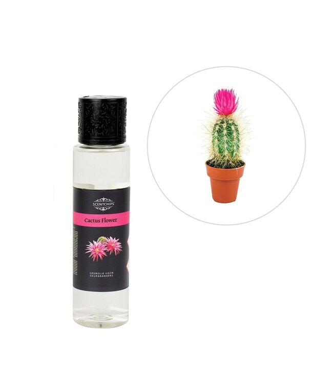 Scentchips® Cactus Flower fragrance oil ScentOil