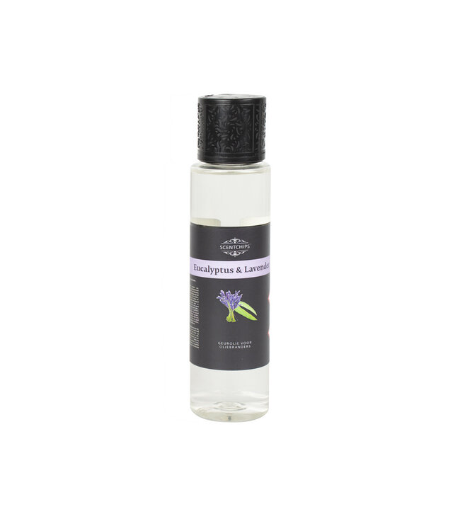 Scentchips® Eukalyptus & Lavendel Duftöl ScentOils 200ml